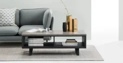Mesa de Centro con Almacenaje Boone – Gris hormigón