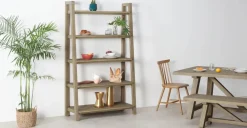 Librería Ancha Iona – Efecto Pino