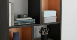 Librería estrecha Anderson – Sombra